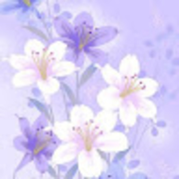 Meet your Posher, Heather - Picture 1 of 1